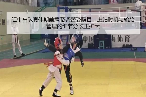 红牛车队夏休期前策略调整受瞩目，进站时机与轮胎管理的细节分歧正扩大